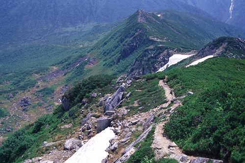 起伏の多い黒部五郎岳稜線コース