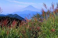 ススキを前景に富士山