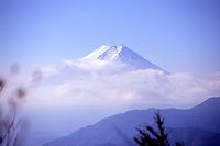 姥子山から富士山