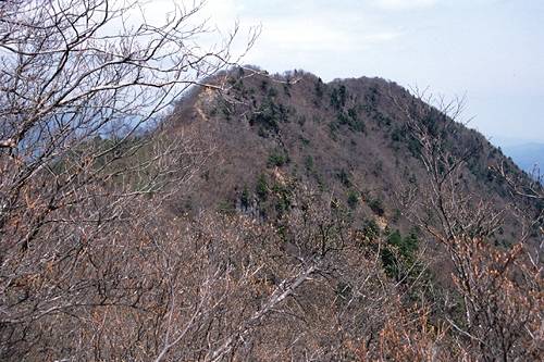 清八山から見る本社ガ丸