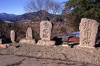小篠集落のイトヒバと石碑