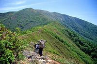 松手山から平標山を見上げる