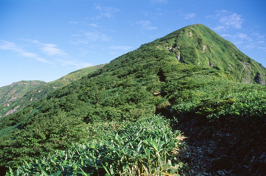 最低鞍部から見上げる一ノ倉岳