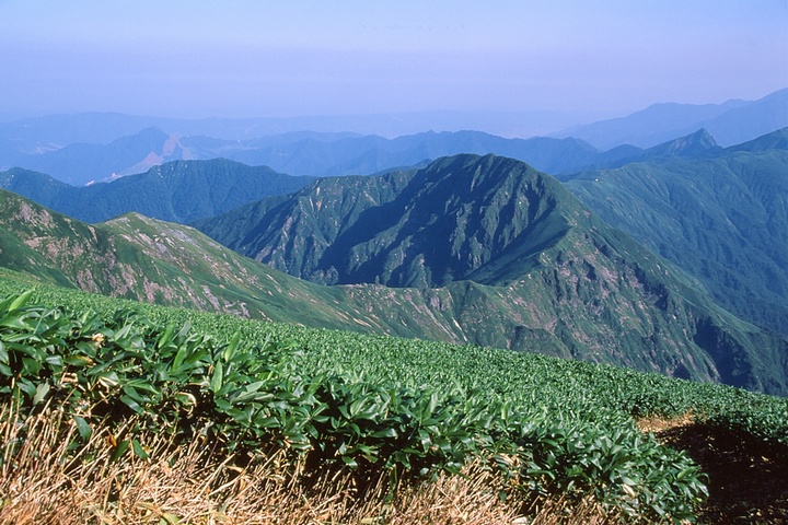 茂倉岳から馬蹄型稜線を望む。中央は武能岳