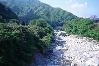 渡良瀬川