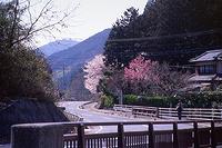 小俣北町の風景