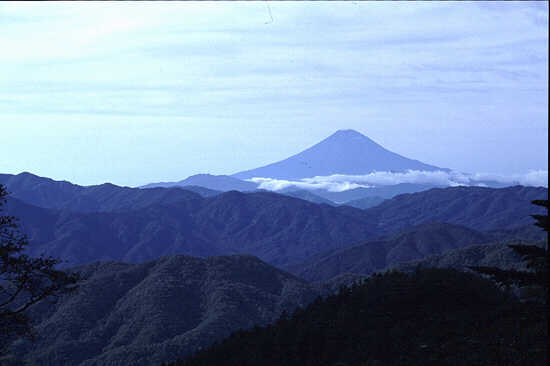 縦走路から見る富士