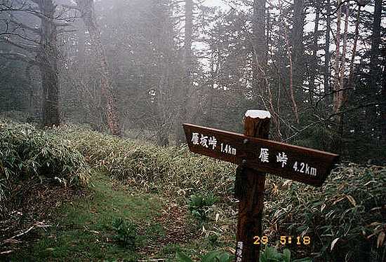 雁坂峠・雁峠分岐から主脈縦走路へ