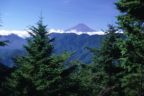 飛竜山から富士山を望む
