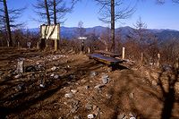 北面が開けた御前山頂上