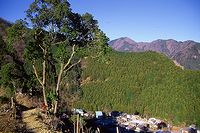 江戸小屋尾根の末端