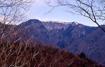 サヲウラ峠への道から雲取山