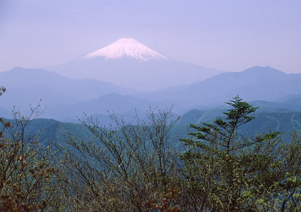 三頭山中央峰から富士山の大観