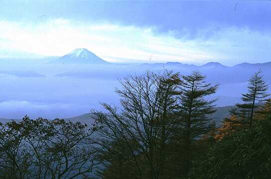三条ダルミからの富士山
