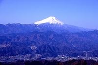 陣馬山から富士山