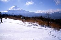 三湖台から富士山