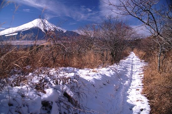 富士山を道連れの稜線
