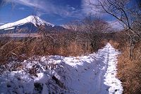 富士山を道連れの雪道