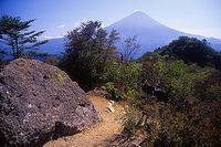 鬼ガ岳から富士山
