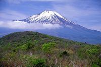 畑尾山と富士山