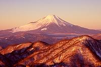蛭ガ岳から富士山