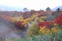 須川温泉の紅葉