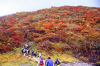 昭和湖を後に登り出す登山者