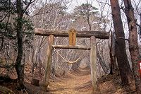 木の鳥居「飯豊和気神社」
