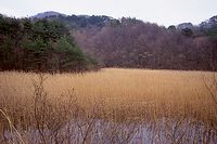 湖沼が現れる