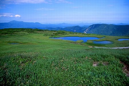 虎毛山頂上の湿原、遠景左は栗駒山