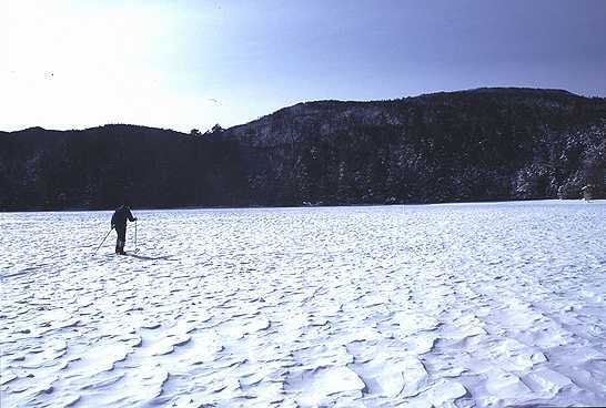 白駒池の雪面を横断する